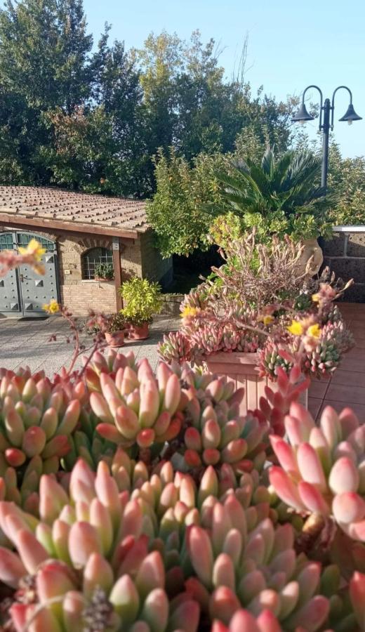 La Casa Sull'Aia,Av Bed & Breakfast Santo Stefano del Sole Eksteriør bilde