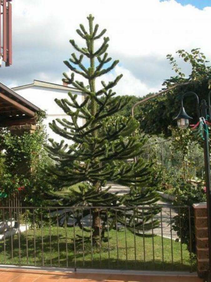 La Casa Sull'Aia,Av Bed & Breakfast Santo Stefano del Sole Eksteriør bilde